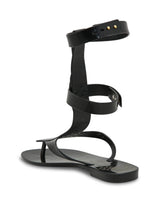 VM Anglomania + Melissa Harmonic Gladiator II (Black)