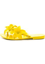 Melissa Harmonic Garden IV (Yellow)