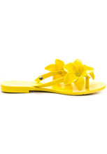 Melissa Harmonic Garden IV (Yellow)